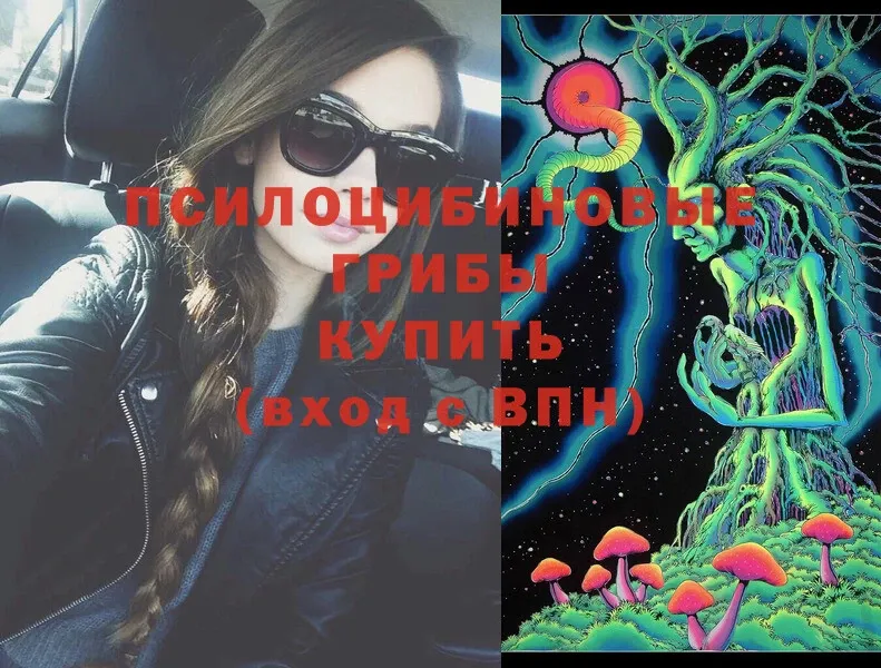 Псилоцибиновые грибы Magic Shrooms  Асино 